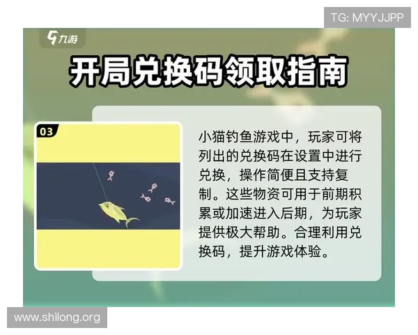 九游网站入口常见问题解答，帮助新手快速了解九游平台的使用流程